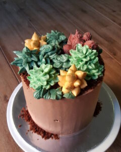 Custom cactus buttercream cakes in Adelaide