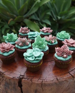 Custom cactus buttercream cakes in Adelaide