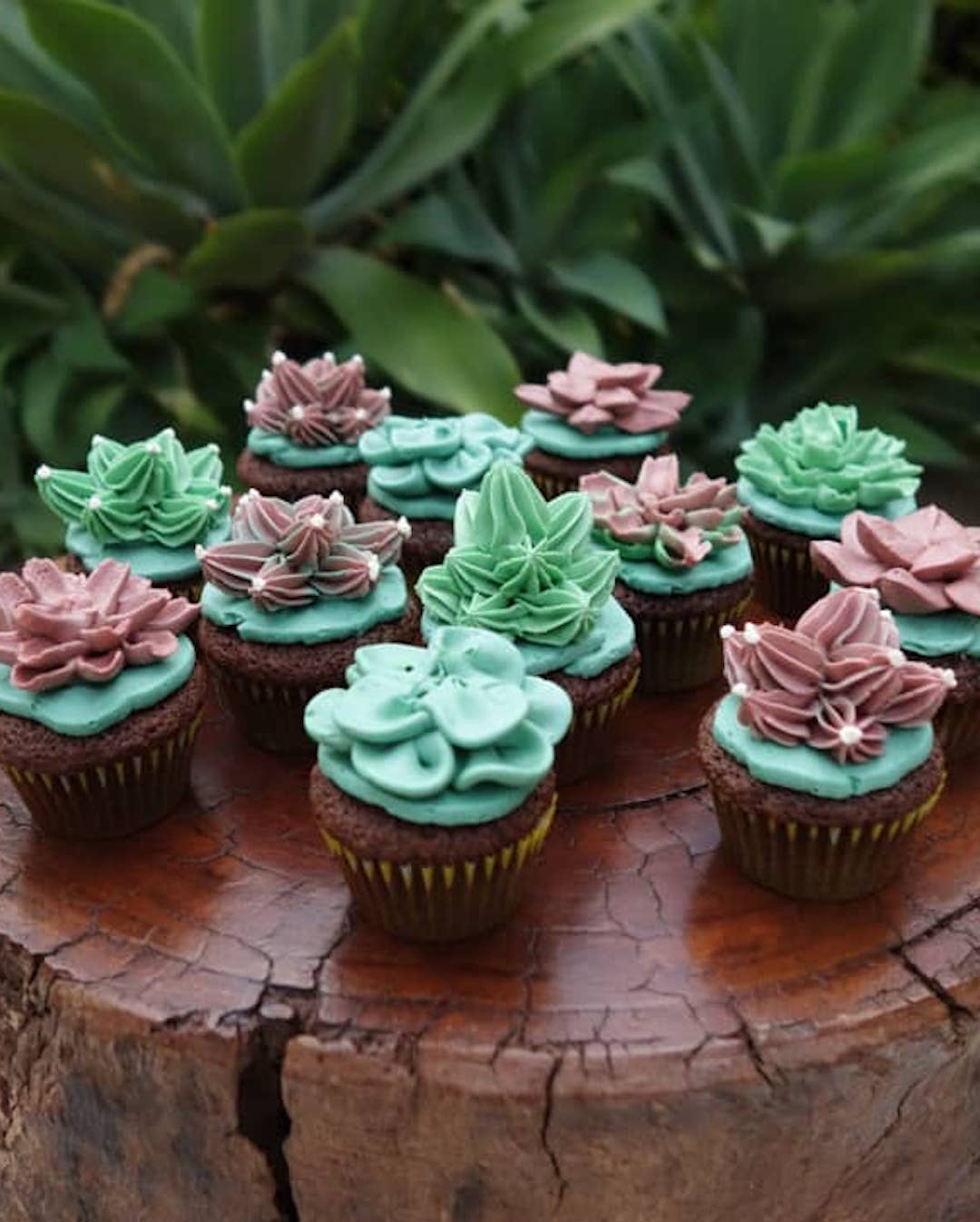 Buttercream Cactus Cupcakes in Adelaide by Brown Sugared Love.